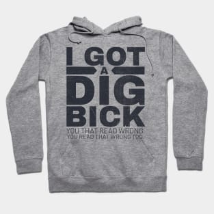 I got a dig bick funny offensive Hoodie